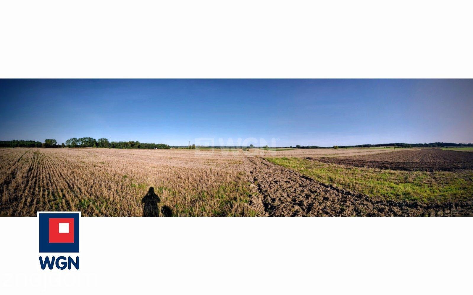 Grunt rolny na sprzedaż Cecenowo - Działka 22 800 m2 - duża, ustawna nieruchomość z możliwością podziału - zdjęcie 3