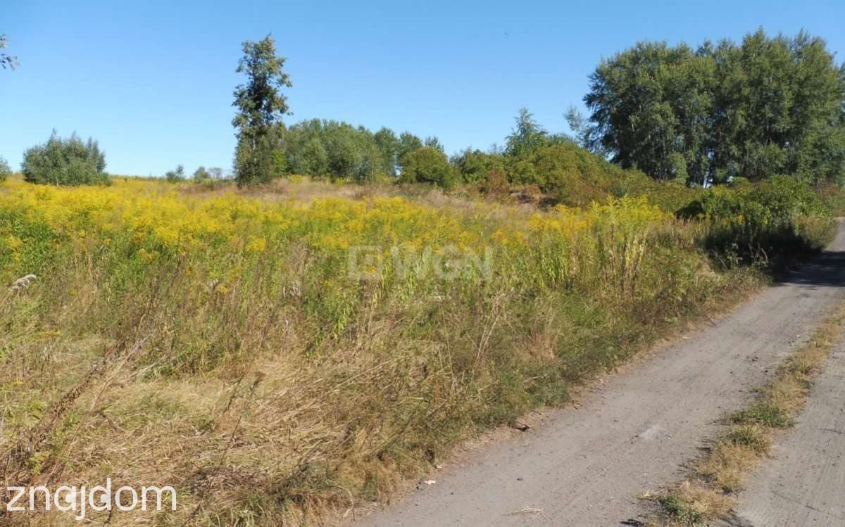 Działka na sprzedaż Pierkunowo - zdjęcie 2