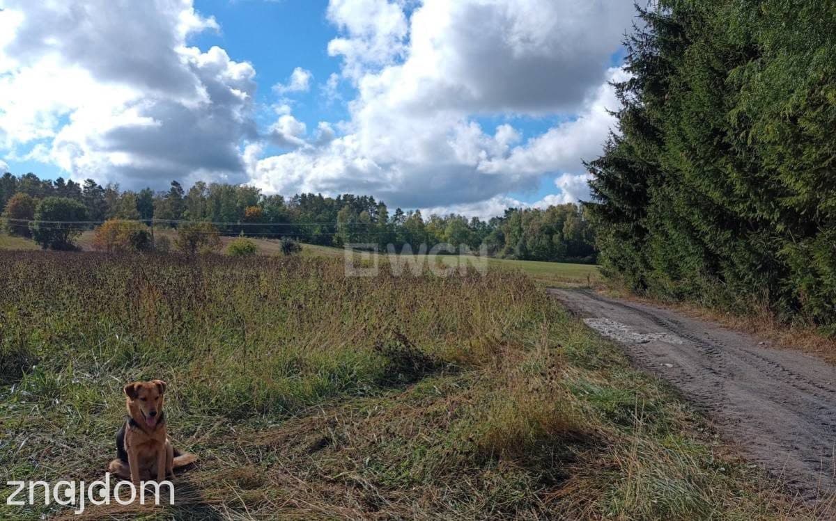Działka na sprzedaż Wejdyki - zdjęcie 4