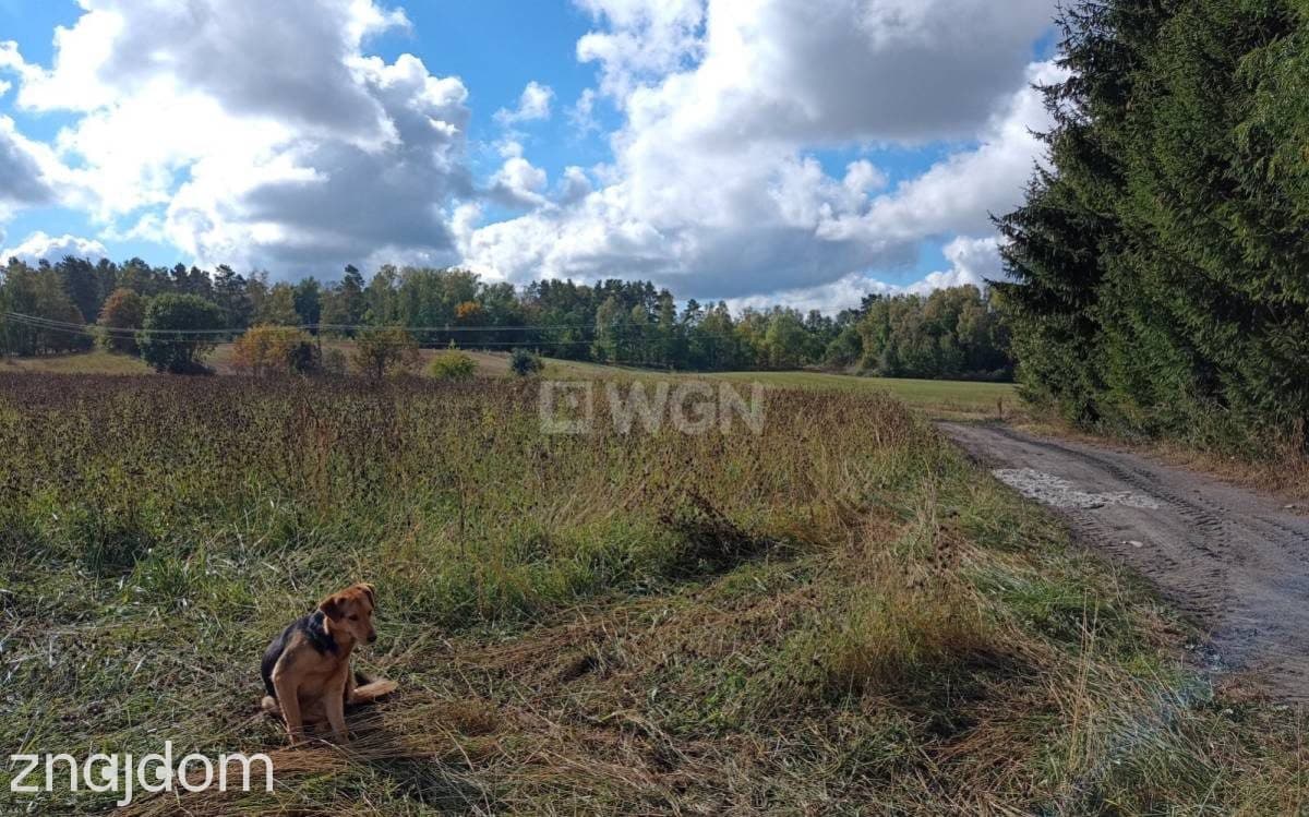 Działka na sprzedaż Wejdyki - zdjęcie 3