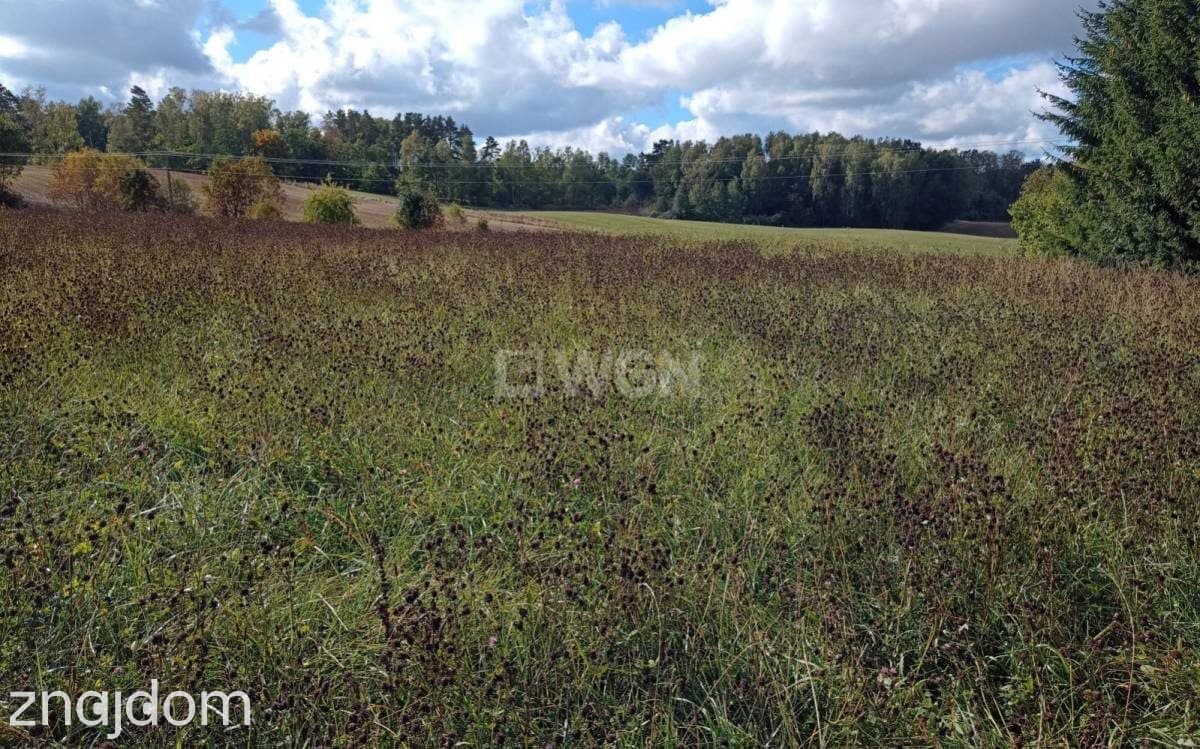 Działka na sprzedaż Wejdyki - zdjęcie 2