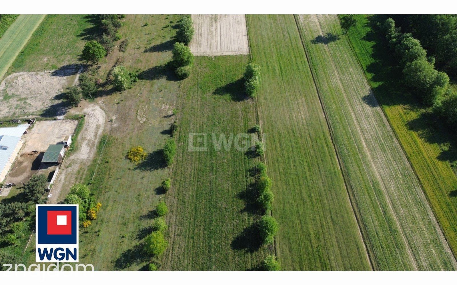 Działka na sprzedaż Wierzbica - zdjęcie 3