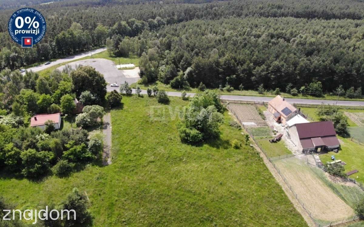 Działka na sprzedaż Wykroty - zdjęcie 5