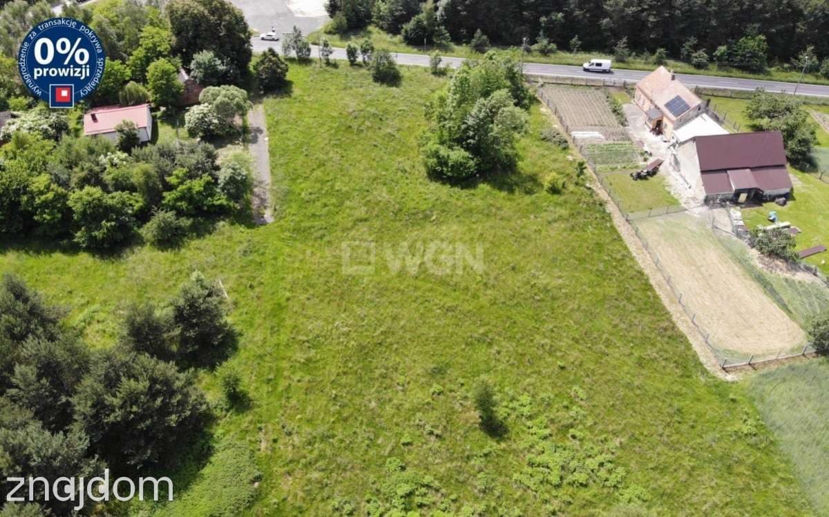 Działka na sprzedaż Wykroty - zdjęcie 3