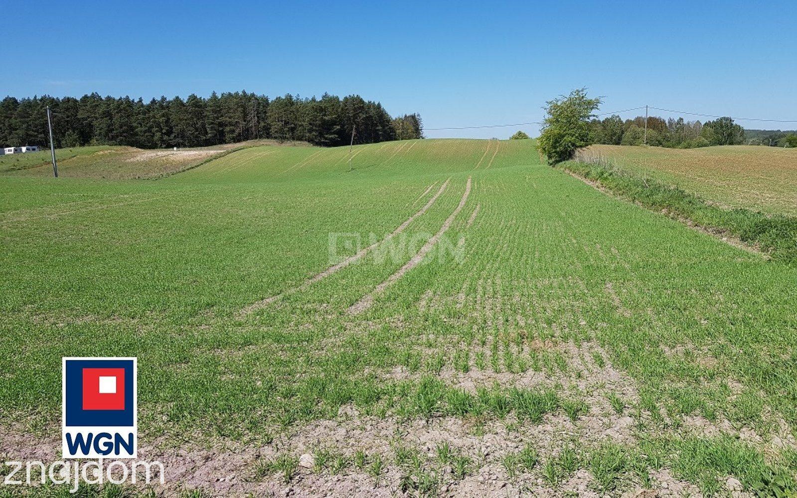 Grunt budowlany jednorodzinny na sprzedaż Bogaczewo - Sprzedam działki budowlane na Mazurach .MPZP. - zdjęcie 8