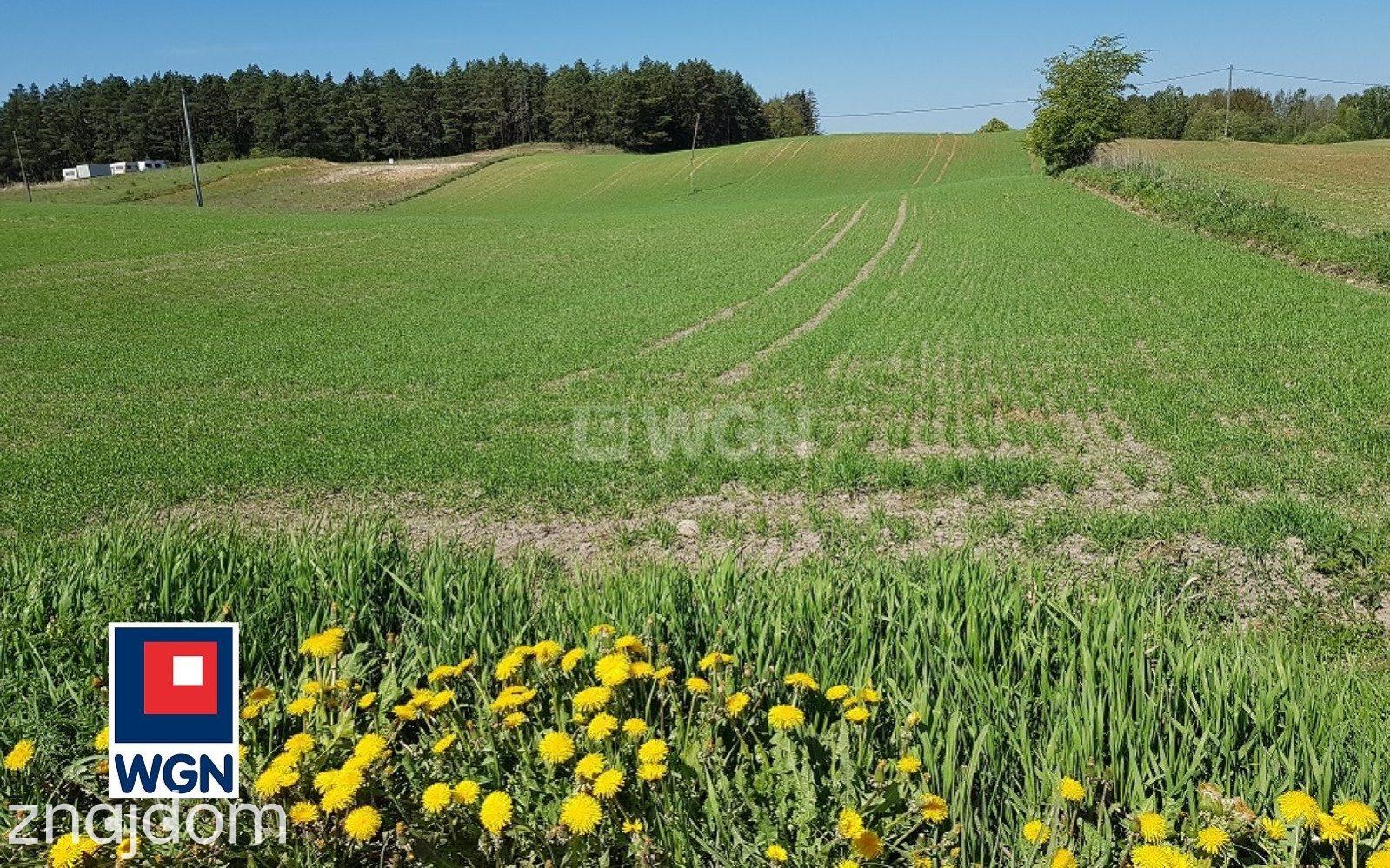 Grunt budowlany jednorodzinny na sprzedaż Bogaczewo - Sprzedam działki budowlane na Mazurach .MPZP. - zdjęcie 6