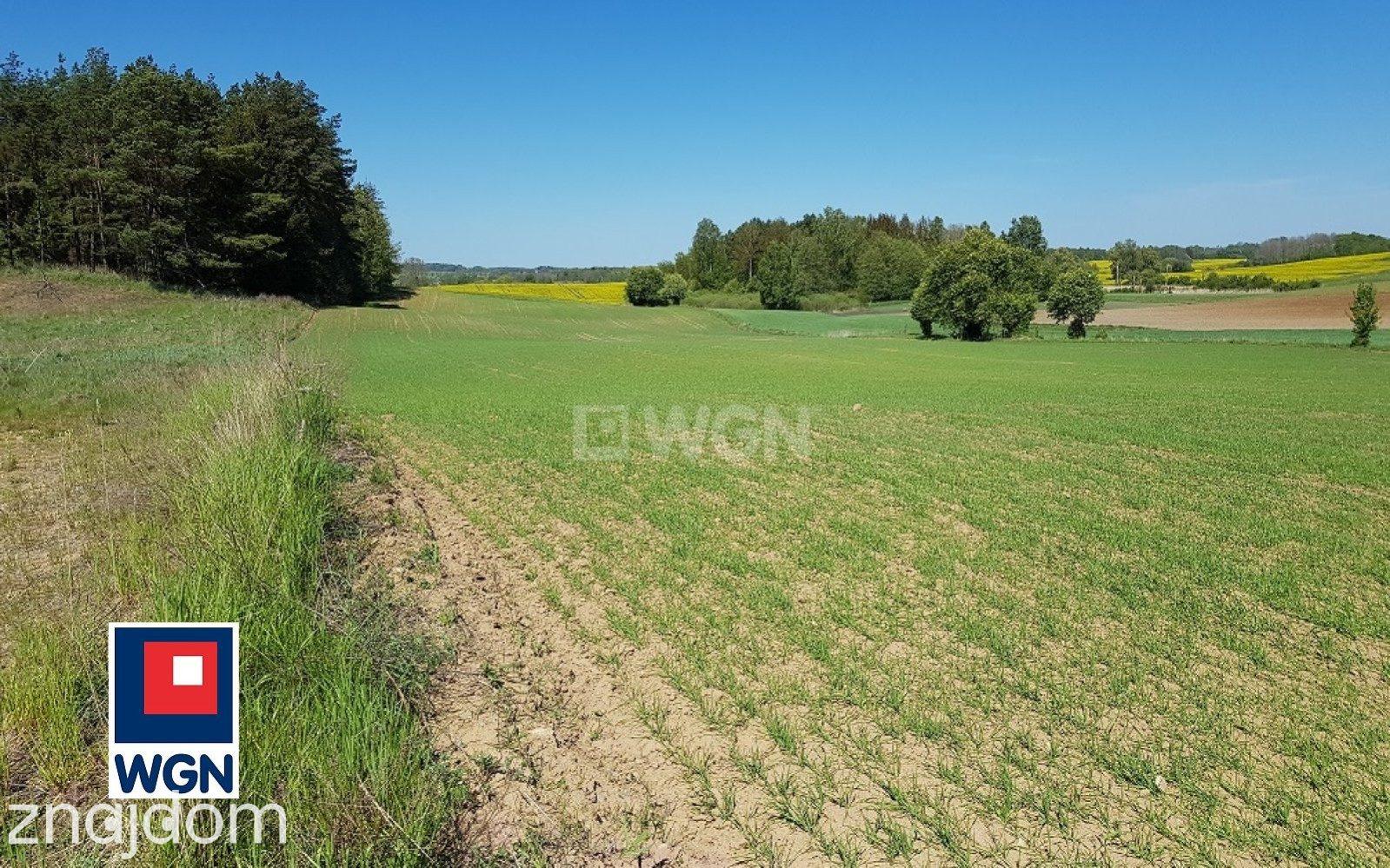 Grunt budowlany jednorodzinny na sprzedaż Bogaczewo - Sprzedam działki budowlane na Mazurach .MPZP. - zdjęcie 3