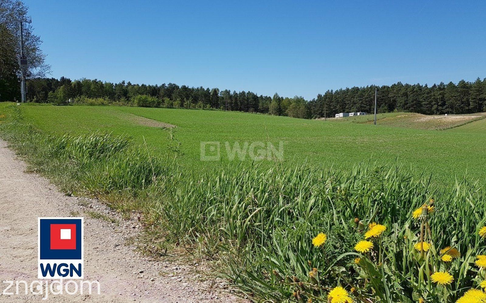 Grunt budowlany jednorodzinny na sprzedaż Bogaczewo - Sprzedam działki budowlane na Mazurach .MPZP. - zdjęcie 2