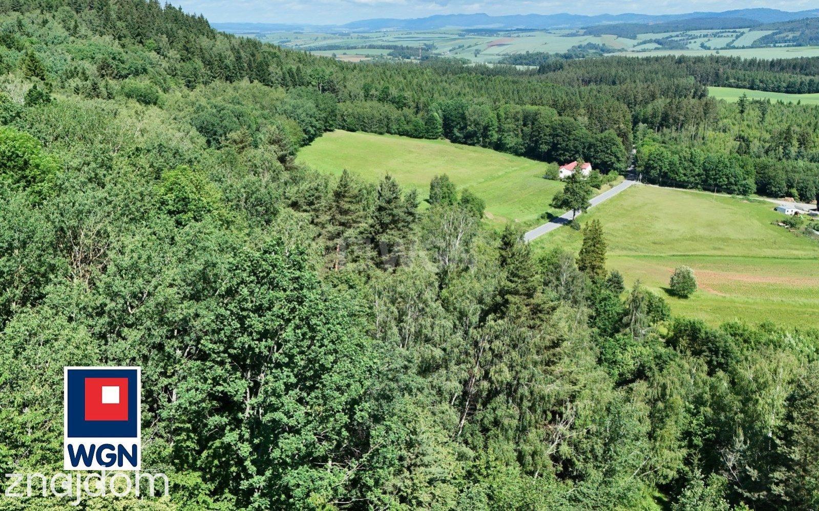 Grunt budowlany jednorodzinny na sprzedaż Chocieszów - Działka budowlana w otoczeniu drzew. - zdjęcie 8