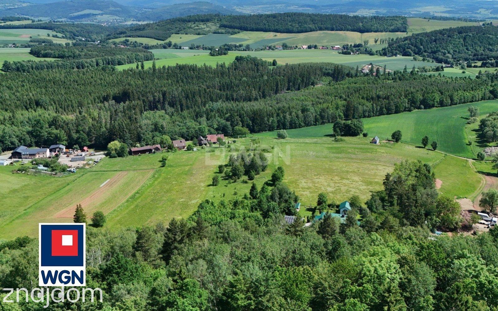 Grunt budowlany jednorodzinny na sprzedaż Chocieszów - Działka budowlana w otoczeniu drzew. - zdjęcie 2