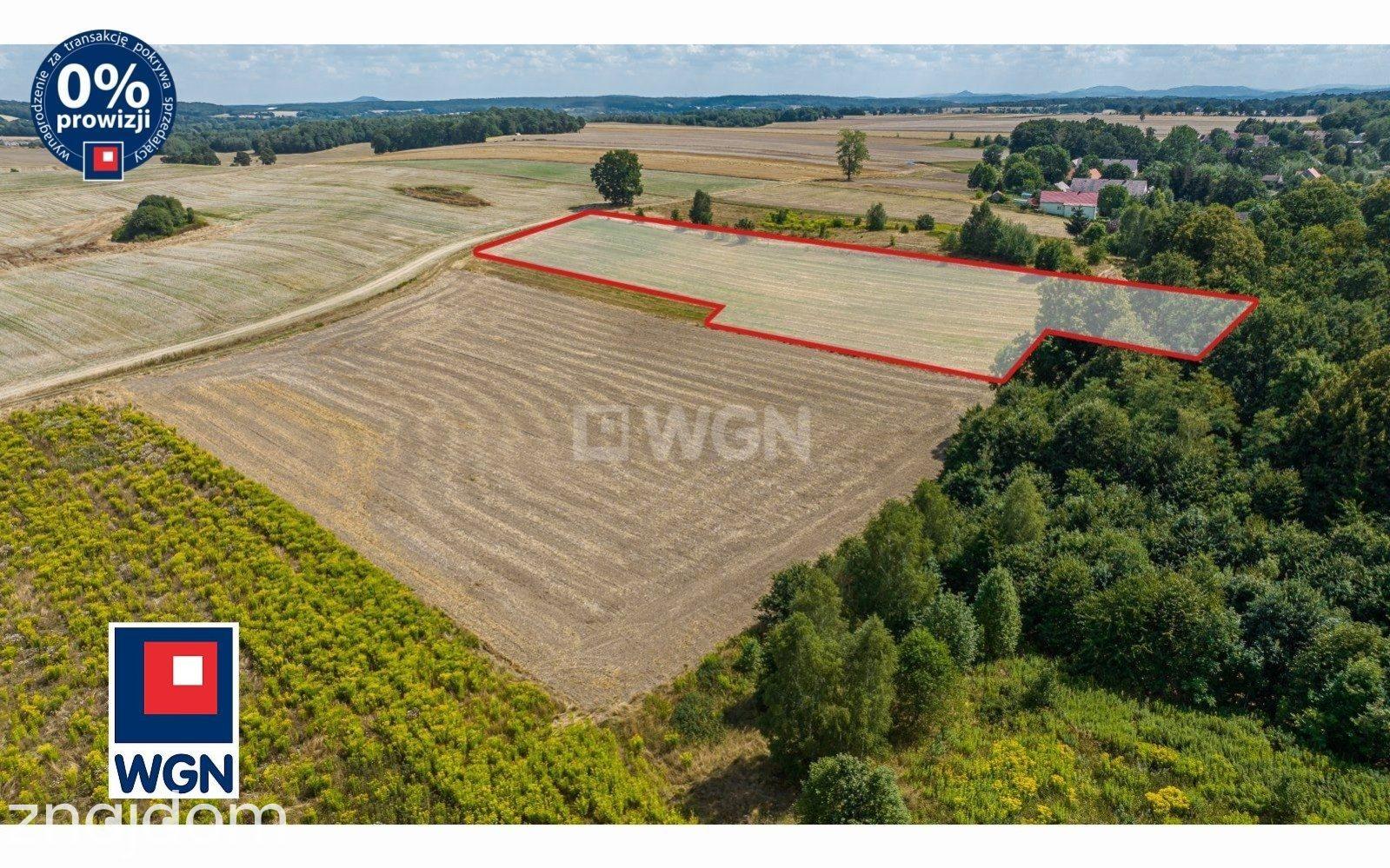 Działka na sprzedaż Ocice - zdjęcie 12