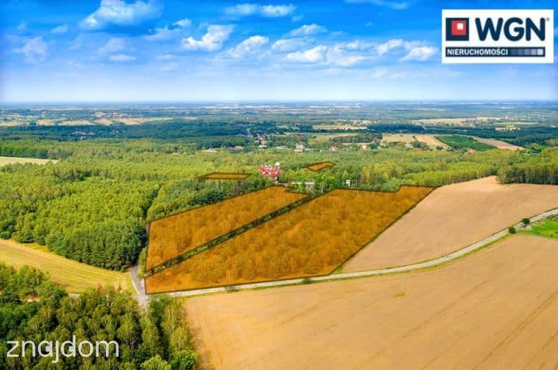 Działka na sprzedaż Dąbrowa - zdjęcie 2