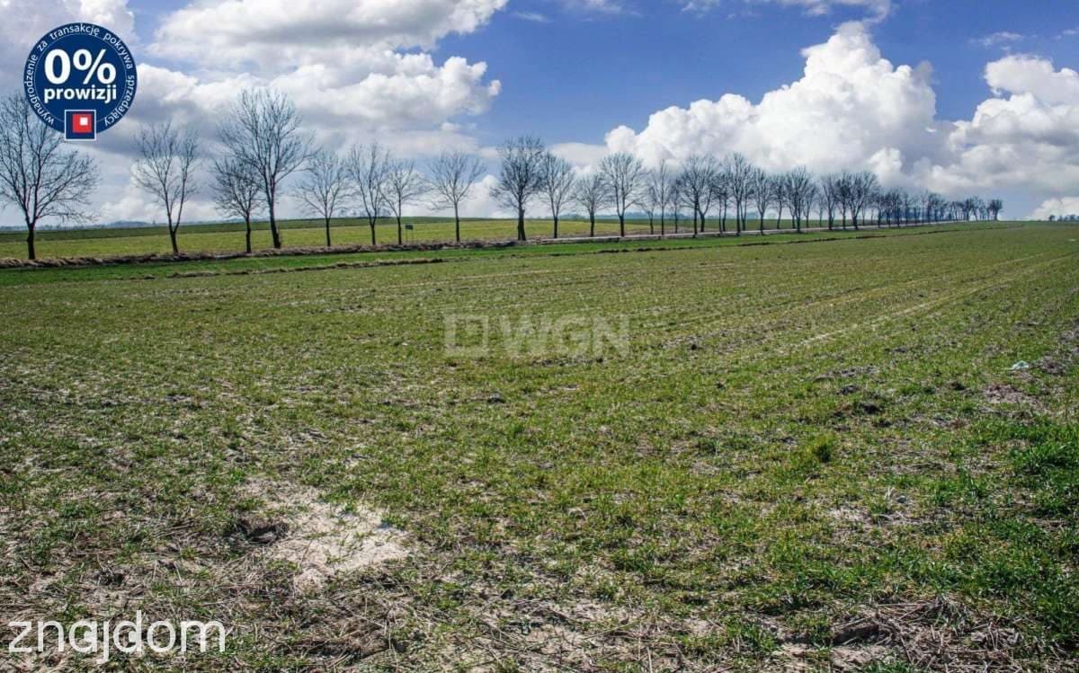 Działka na sprzedaż Kraśnik Dolny - zdjęcie 6