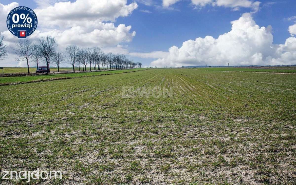 Działka na sprzedaż Kraśnik Dolny - zdjęcie 5