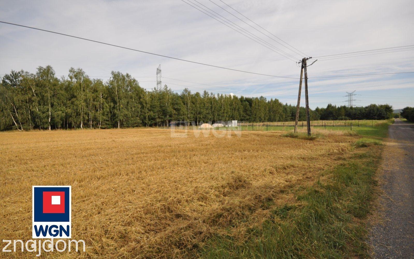 Działka na sprzedaż Dobryszyce - zdjęcie 7
