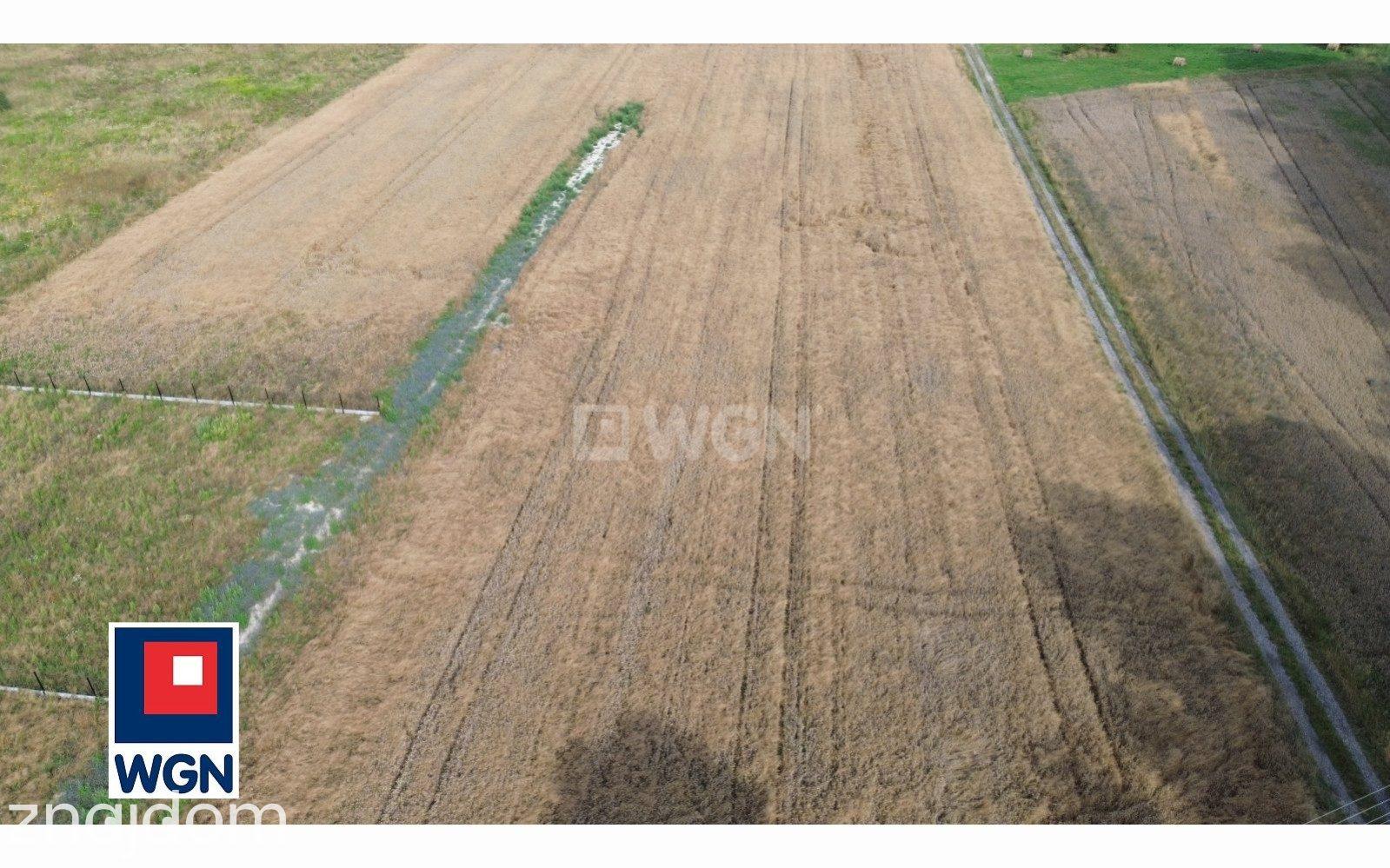 Działka na sprzedaż Dobryszyce - zdjęcie 6