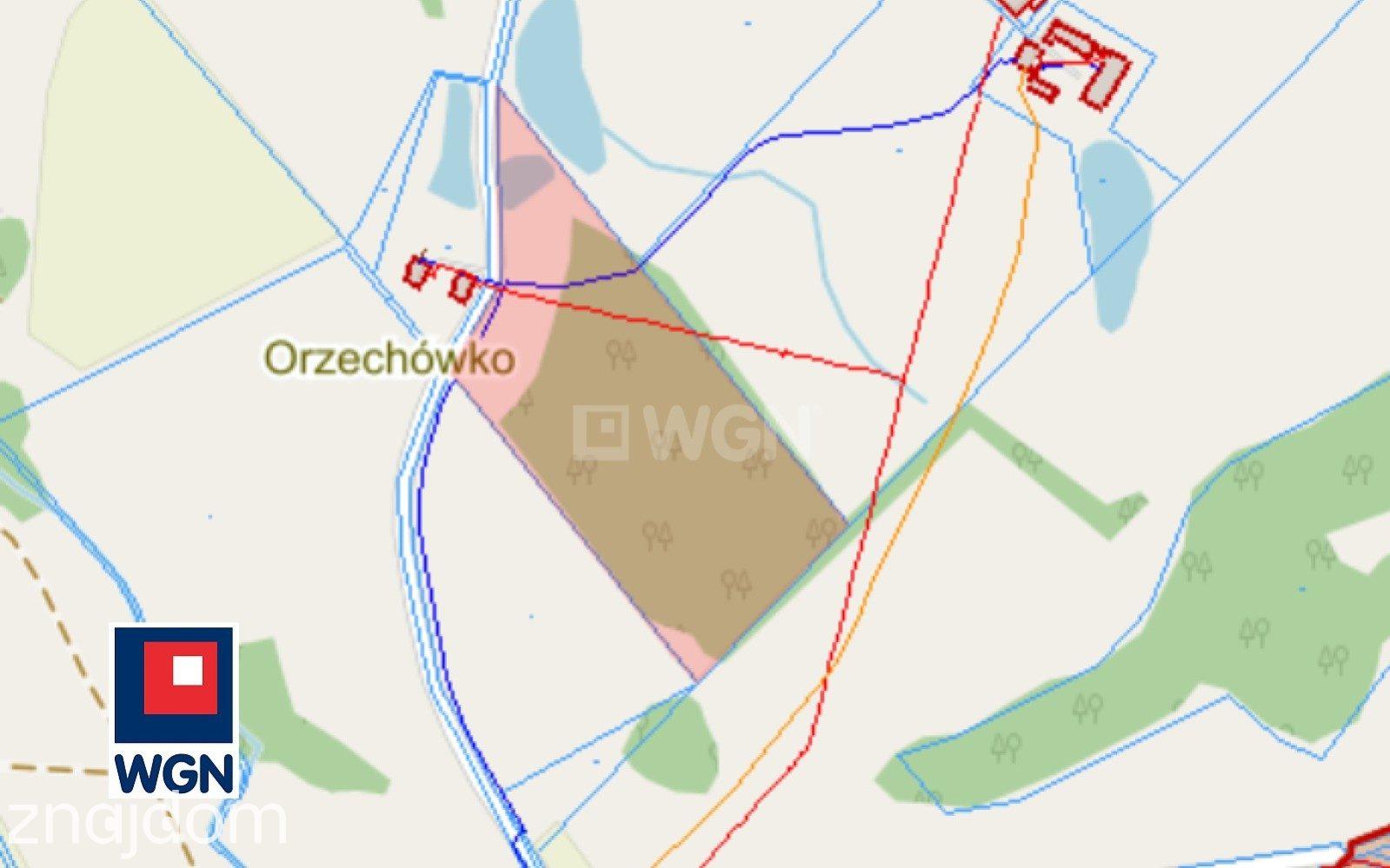Działka na sprzedaż Orzechówko - zdjęcie 4