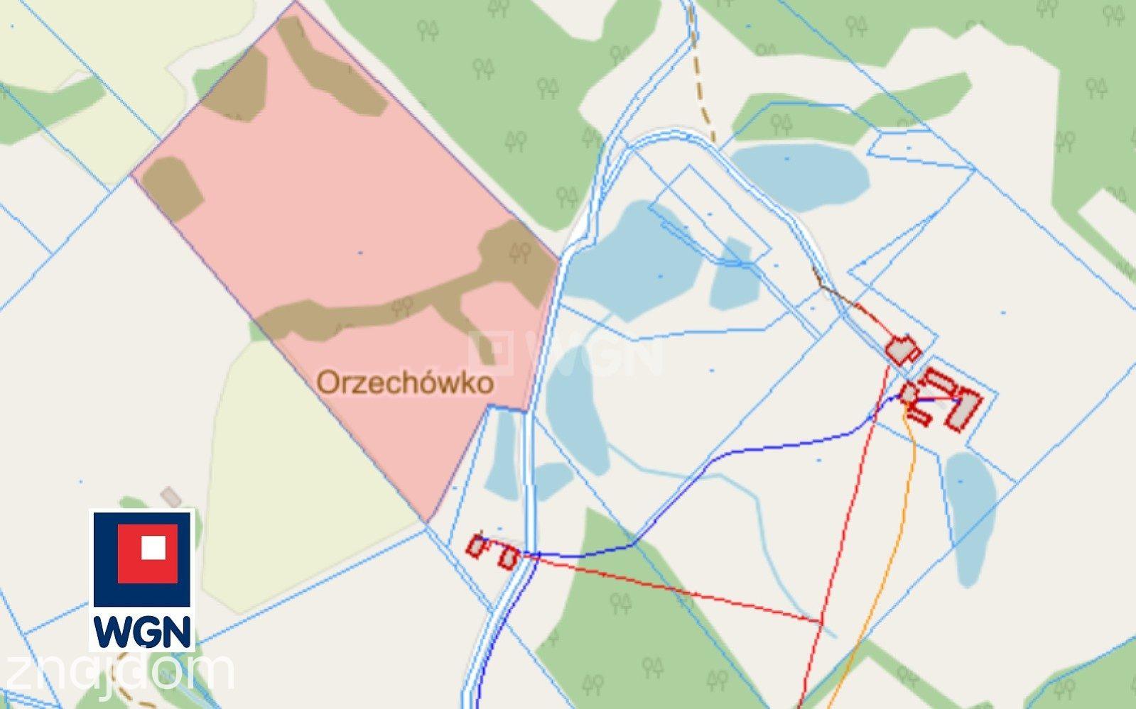 Działka na sprzedaż Orzechówko - zdjęcie 2