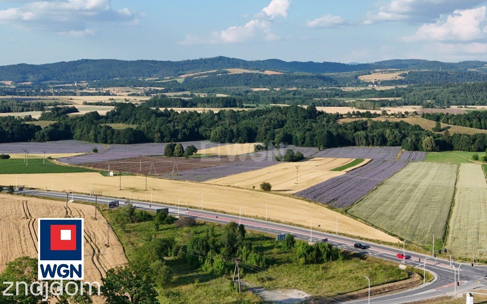 Grunt aktywizacja gospodarcza na sprzedaż Bystrzyca Kłodzka - Działka komercyjna 8923 m2 pod stację paliw - Bystrzyca Kłodzka. - zdjęcie 12