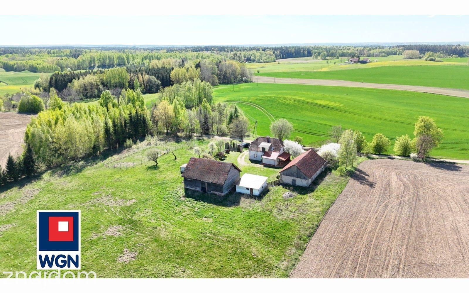 Dom na  sprzedaż Żywki - Sprzedam siedlisko na Mazurach 1,40ha w miejscowości Żywki w gminie Kruklanki. - zdjęcie 18