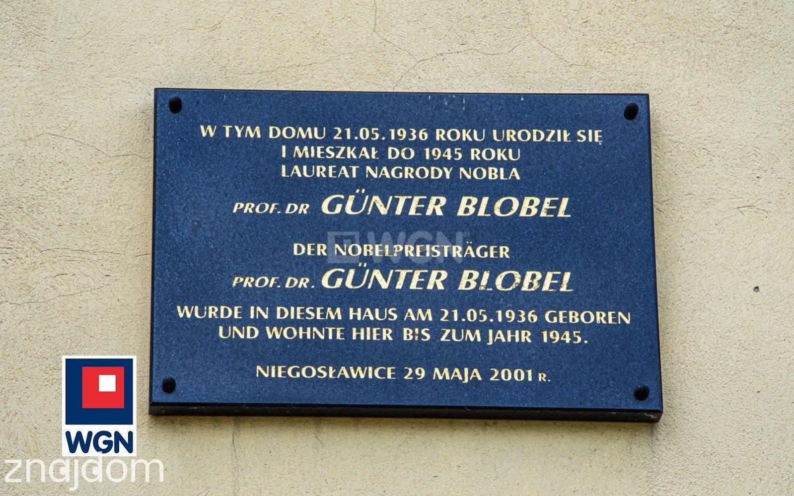 Dom na sprzedaż Niegosławice - zdjęcie 18