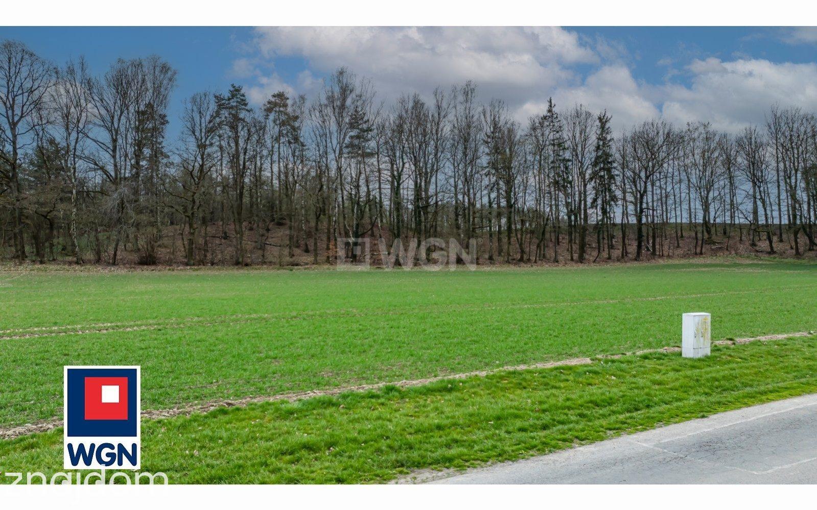 Działka na sprzedaż Nowe Jaroszowice - zdjęcie 4