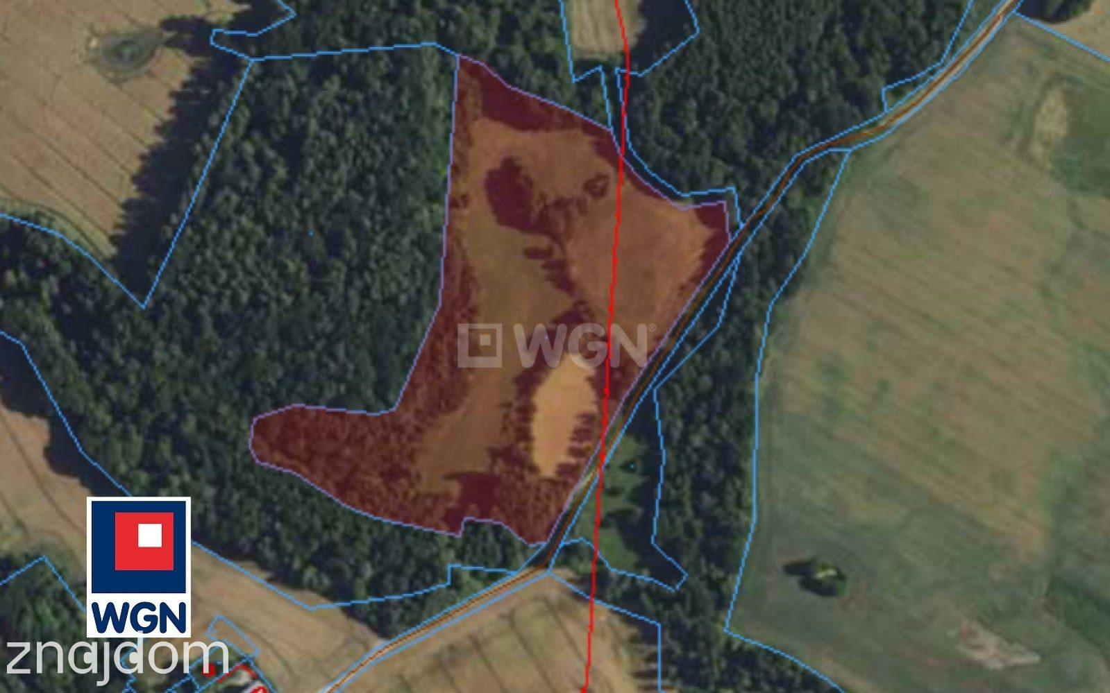 Grunt rolny na  sprzedaż Bornity - Działka ponad 5 ha z naturalnym stawem - Bornity - zdjęcie 2