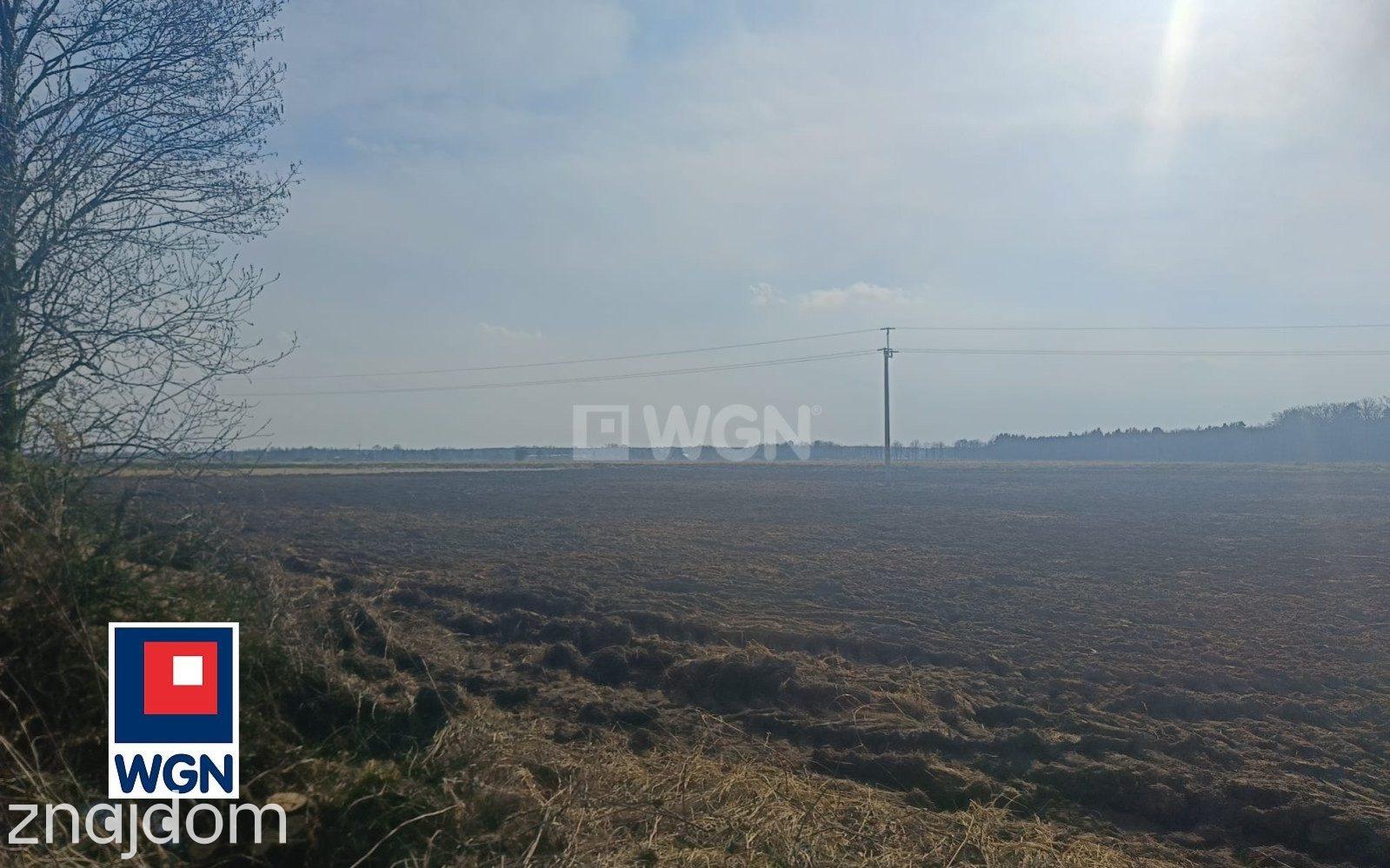 Grunt budowlany jednorodzinny na  sprzedaż Borzynowo - Działka z pięknym krajobrazem na sprzedaż - zdjęcie 9