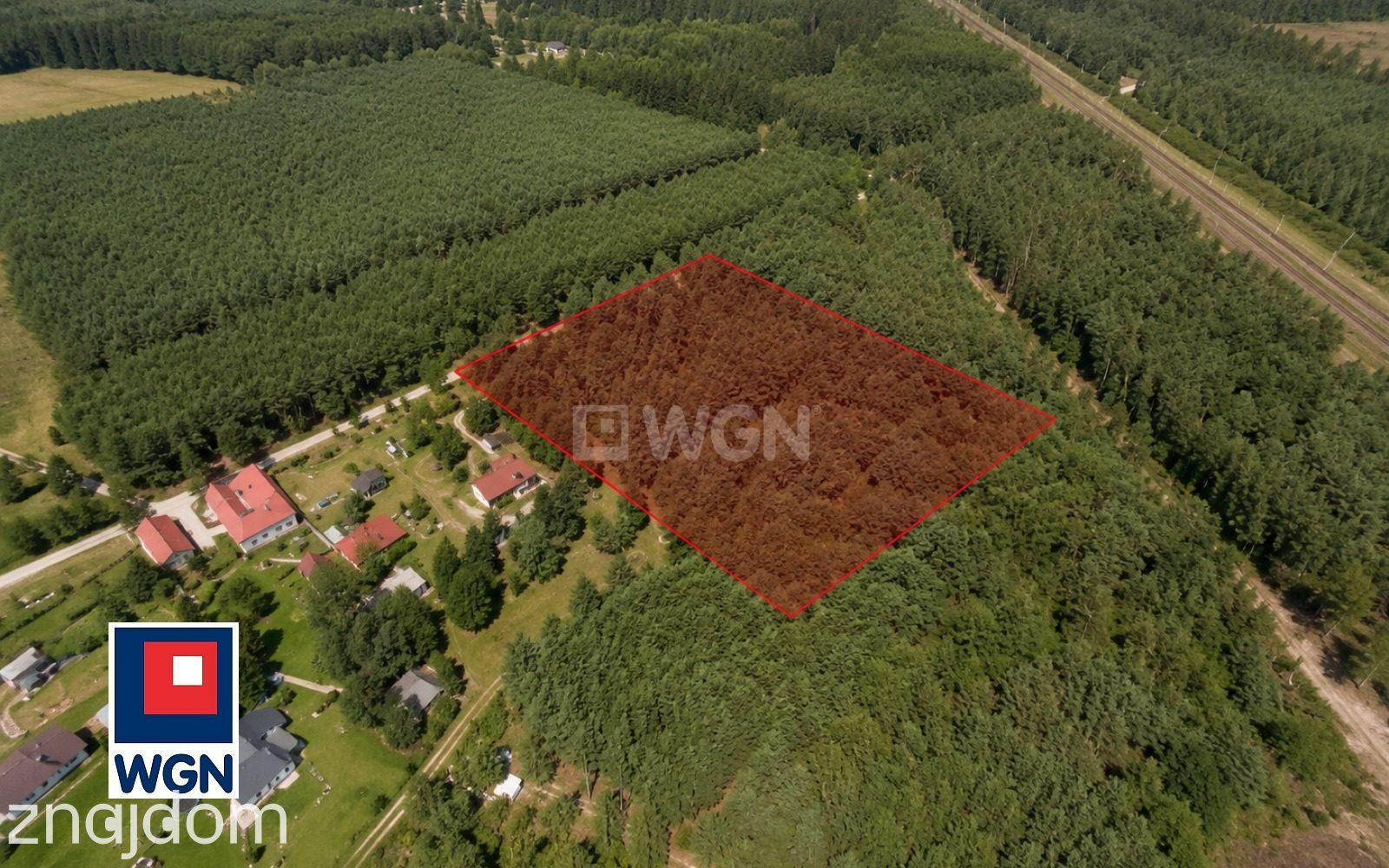 Grunt rolny na  sprzedaż Odry - Działka 5687 m2 w otoczeniu lasu, Odry, gmina Czersk - zdjęcie 3
