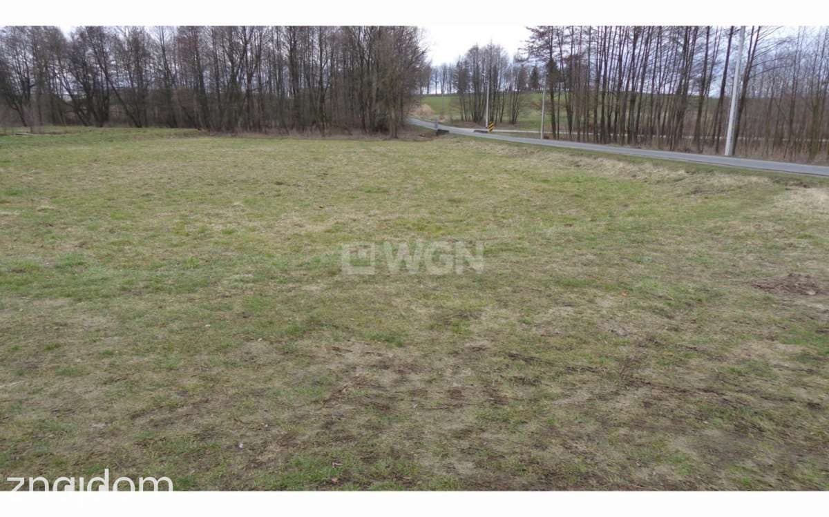 Działka na sprzedaż Pątnów - zdjęcie 4