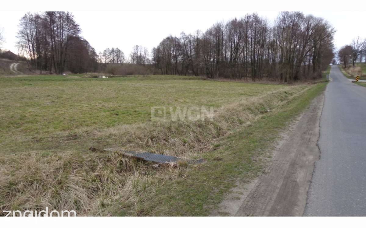 Działka na sprzedaż Pątnów - zdjęcie 3