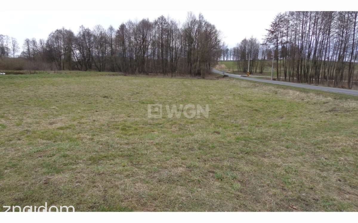 Działka na sprzedaż Pątnów - zdjęcie 2