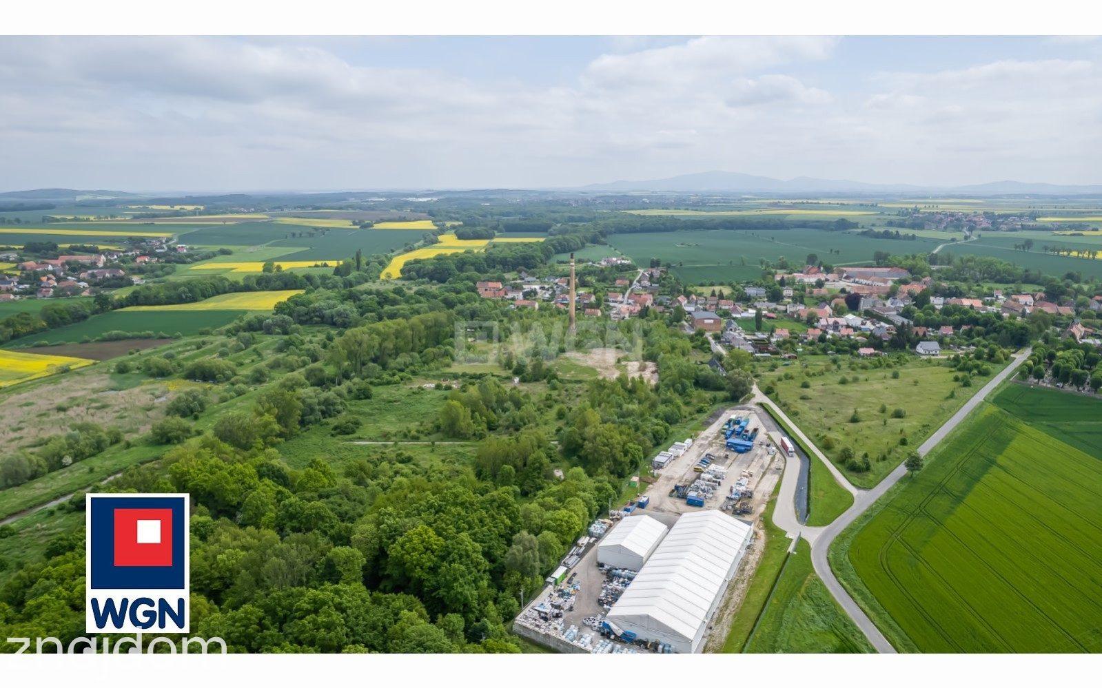 Działka na sprzedaż Pastuchów - zdjęcie 10