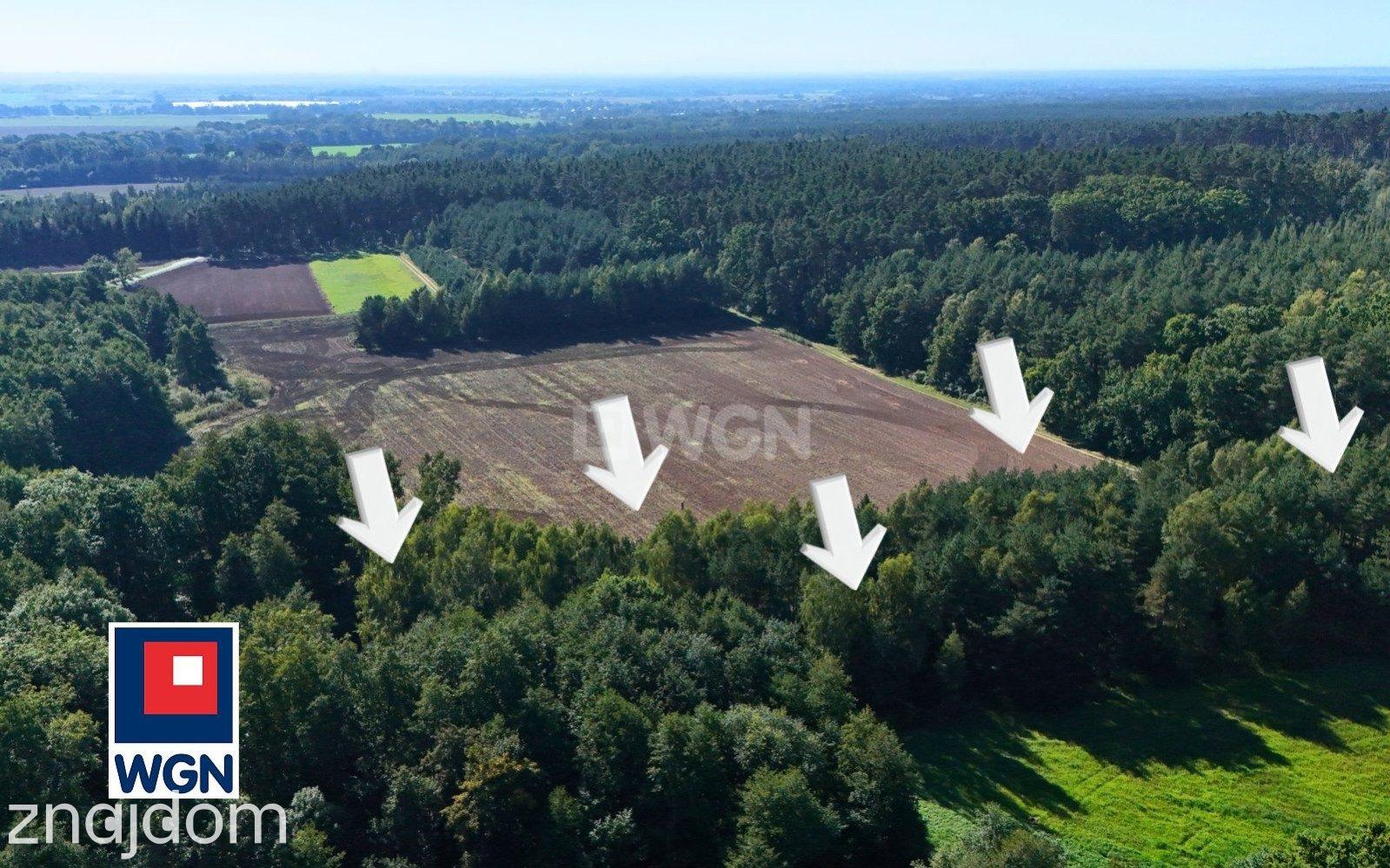 Grunt leśny na sprzedaż Mienice - Działka blisko lasu pod dolesienie. - zdjęcie 10