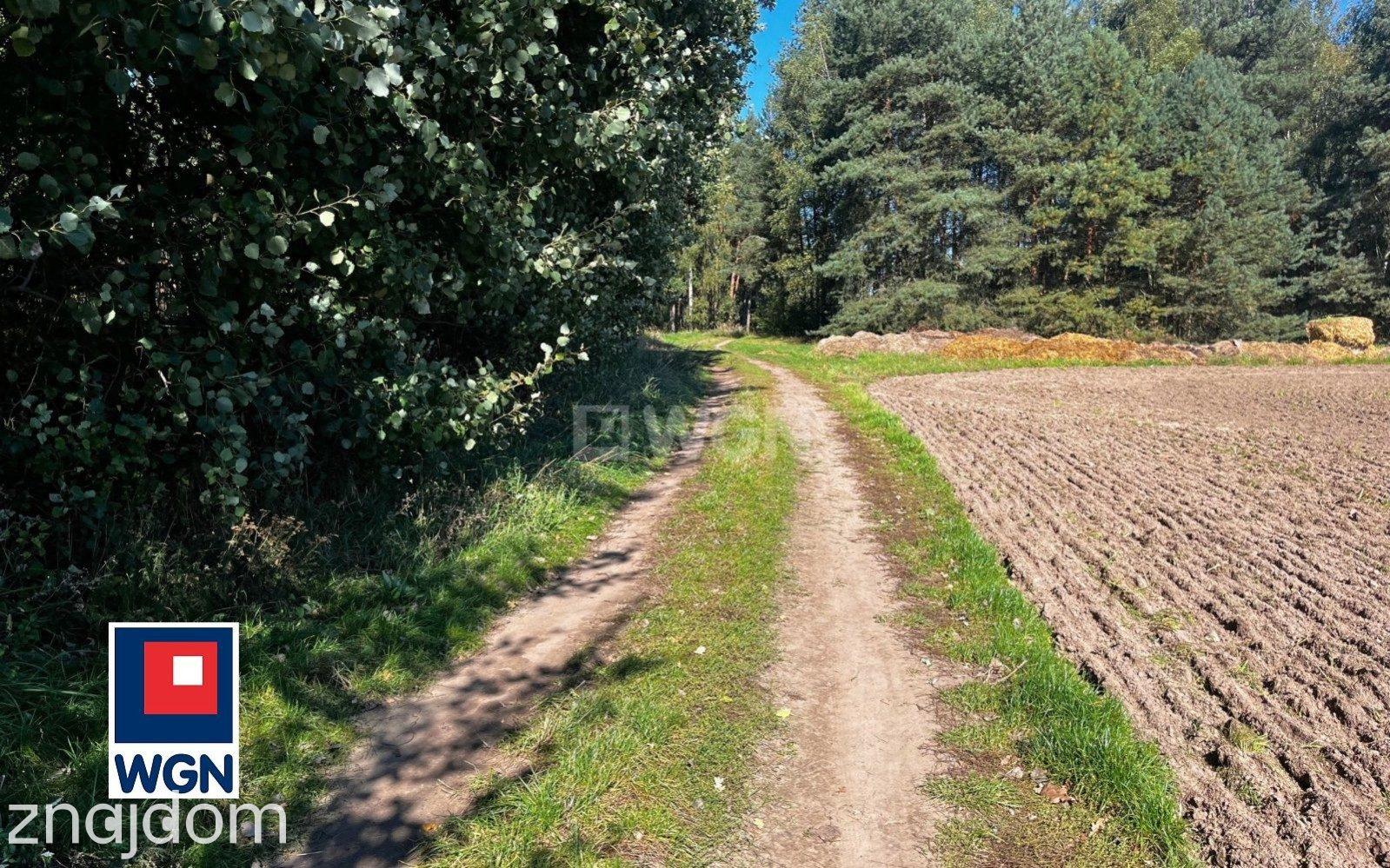 Grunt leśny na sprzedaż Mienice - Działka blisko lasu pod dolesienie. - zdjęcie 8