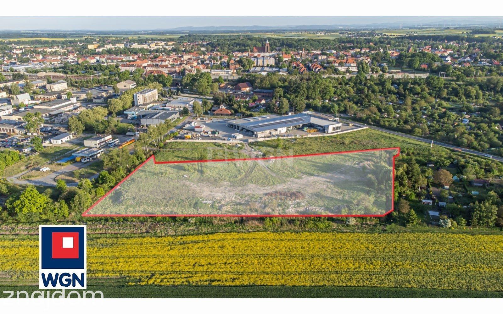 Działka na sprzedaż Chojnów - zdjęcie 8