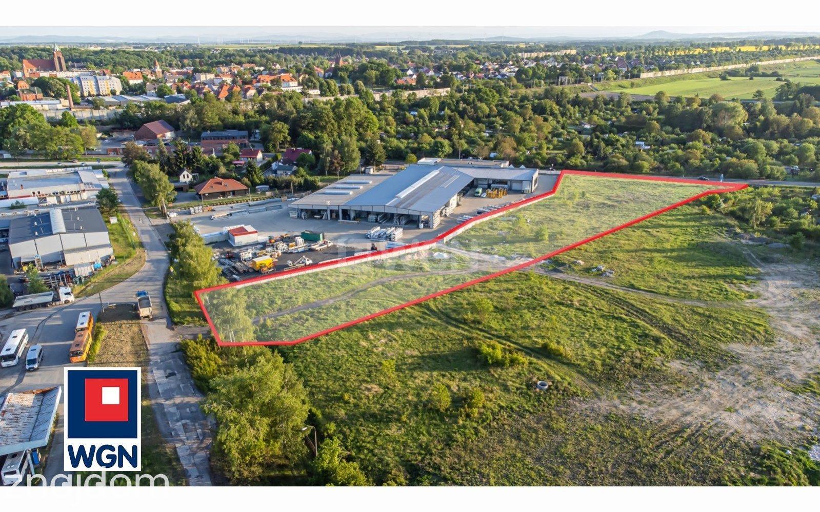 Działka na sprzedaż Chojnów - zdjęcie 5