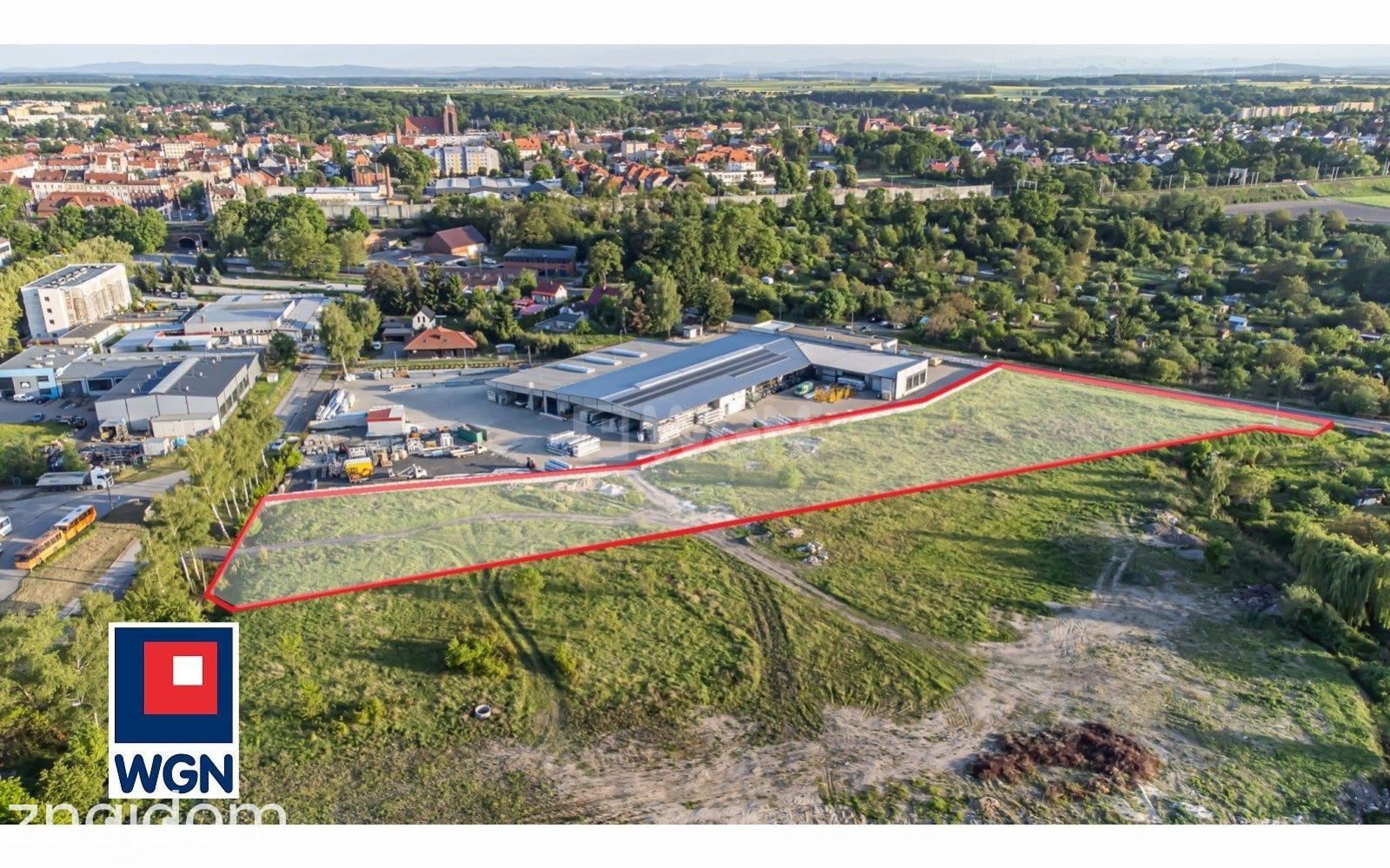 Działka na sprzedaż Chojnów - zdjęcie 4