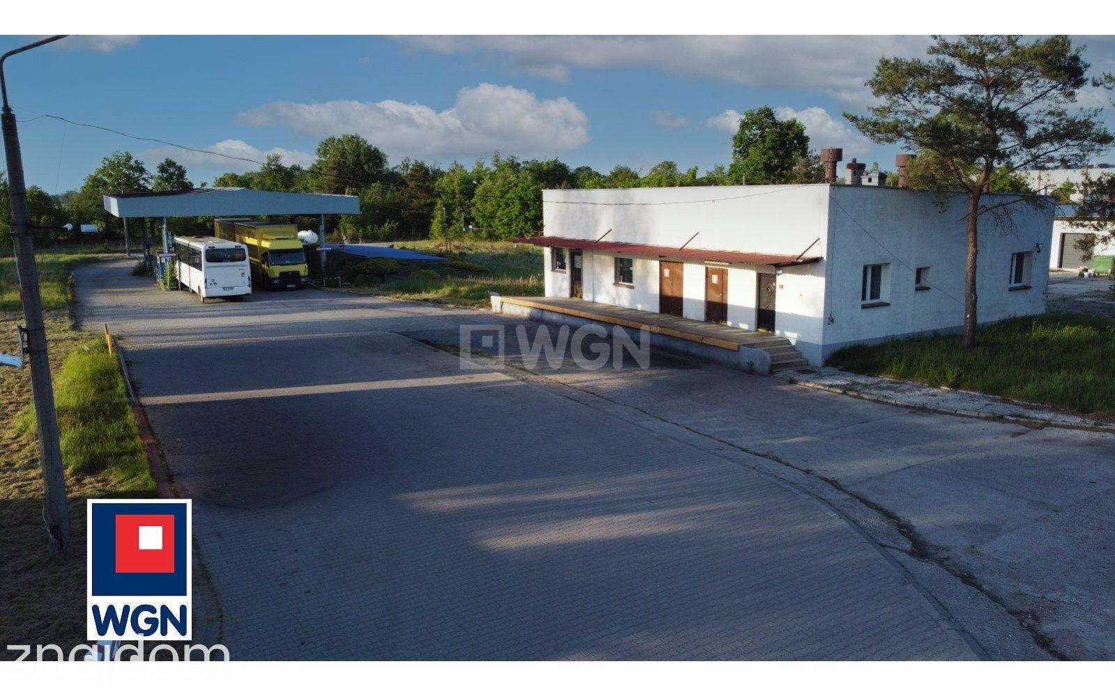 Działka na sprzedaż Chojnów - zdjęcie 4