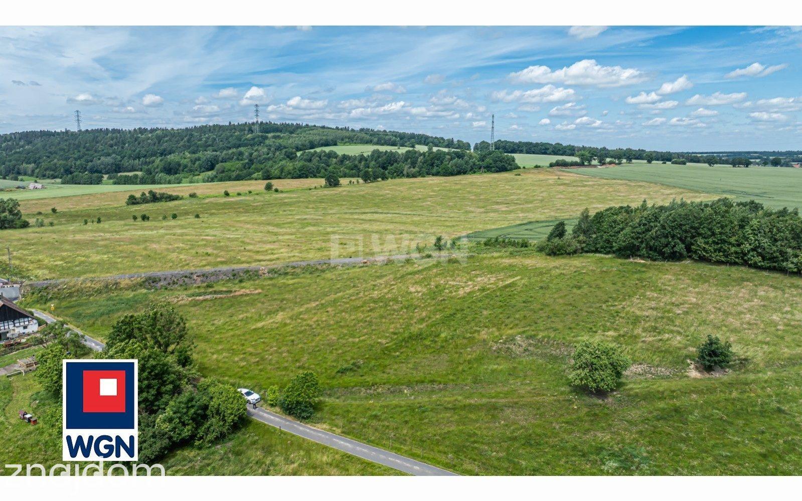 Działka na sprzedaż Skorzynice - zdjęcie 11
