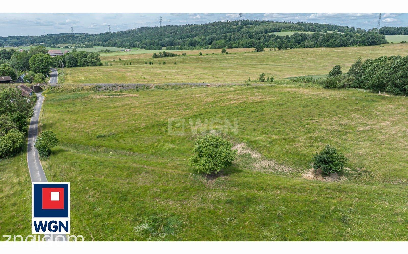 Działka na sprzedaż Skorzynice - zdjęcie 7