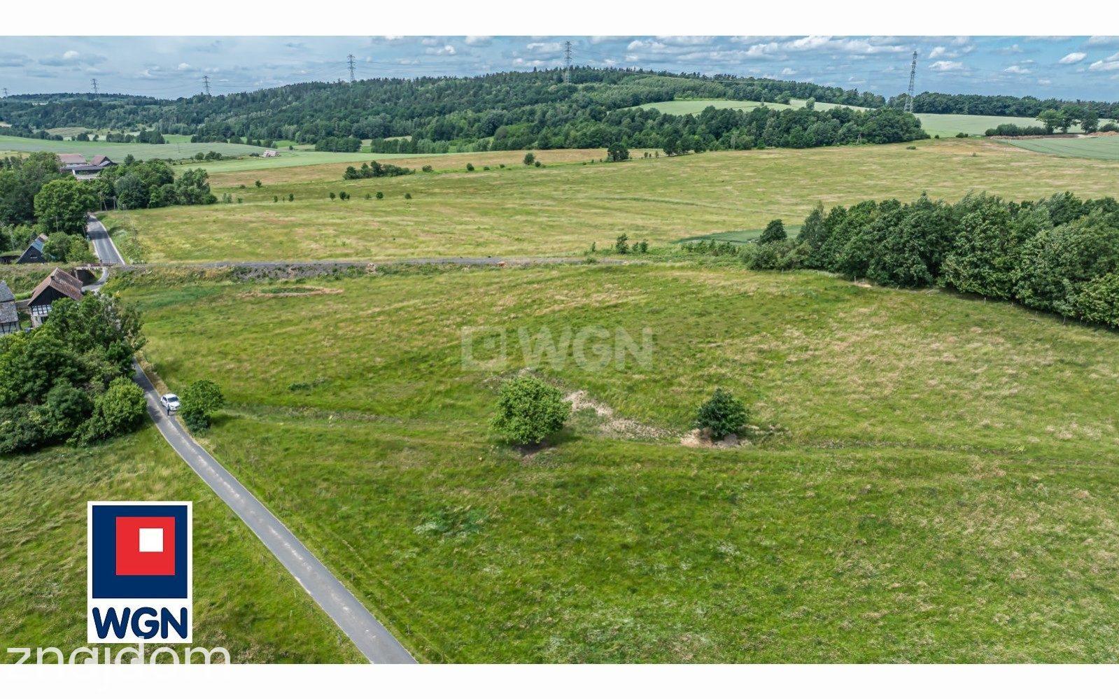 Działka na sprzedaż Skorzynice - zdjęcie 4