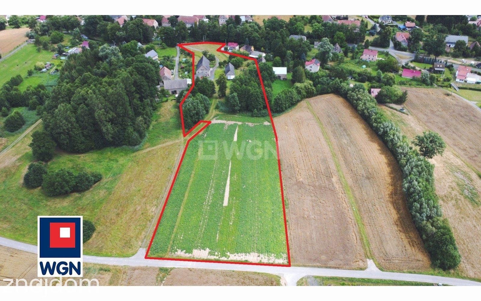 Działka na sprzedaż Pielgrzymka - zdjęcie 2