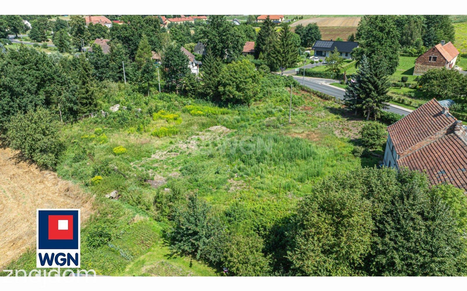 Działka na sprzedaż Ocice - zdjęcie 3