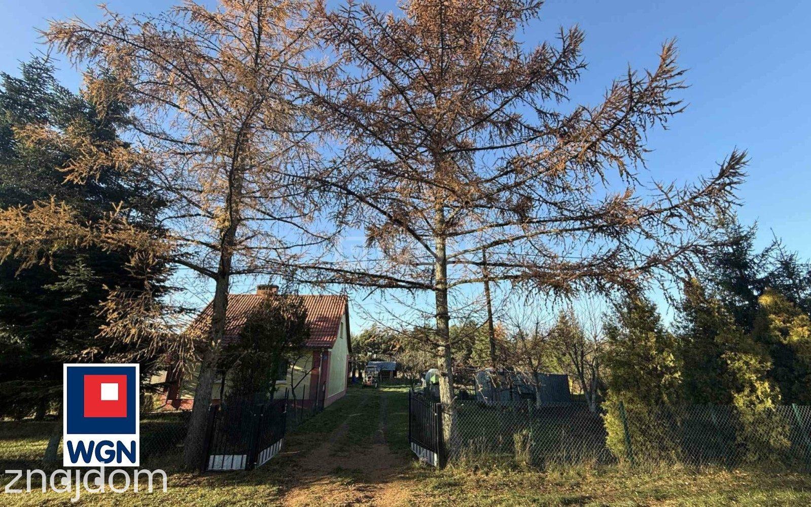 Dom na sprzedaż Jagodne Wielkie - Sprzedaż- 2 domy na działce1545m2 - zdjęcie 16