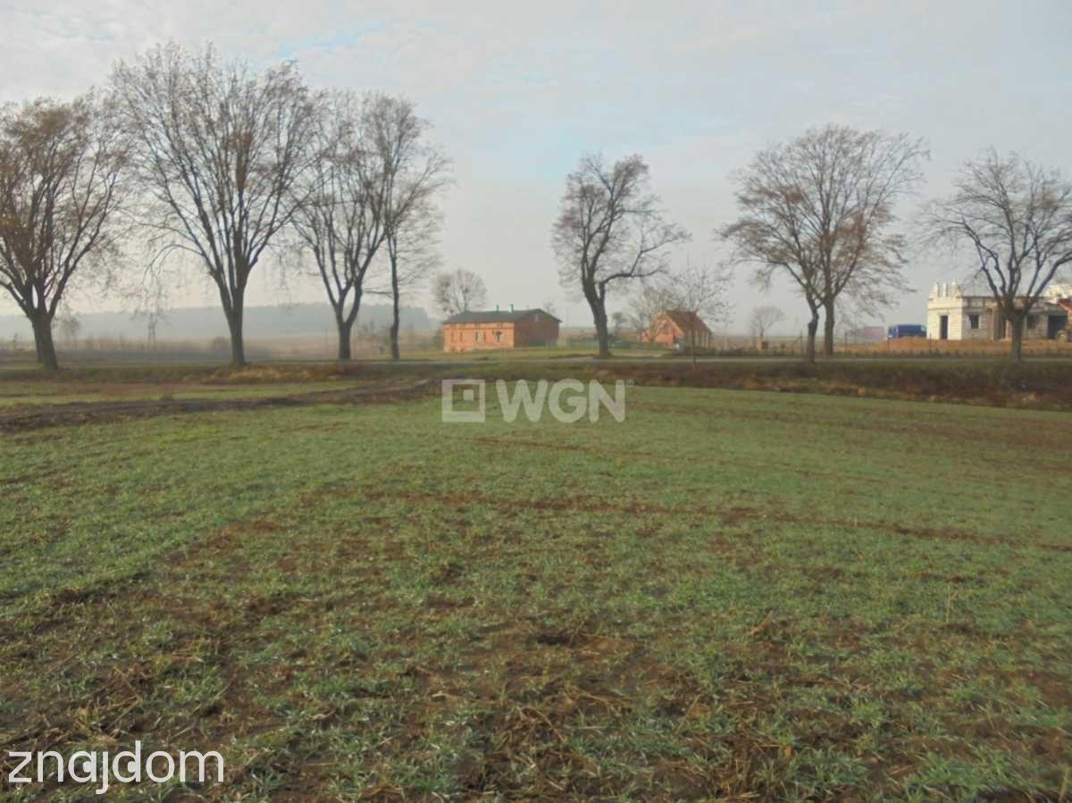 Działka na sprzedaż Zaborowo - zdjęcie 5