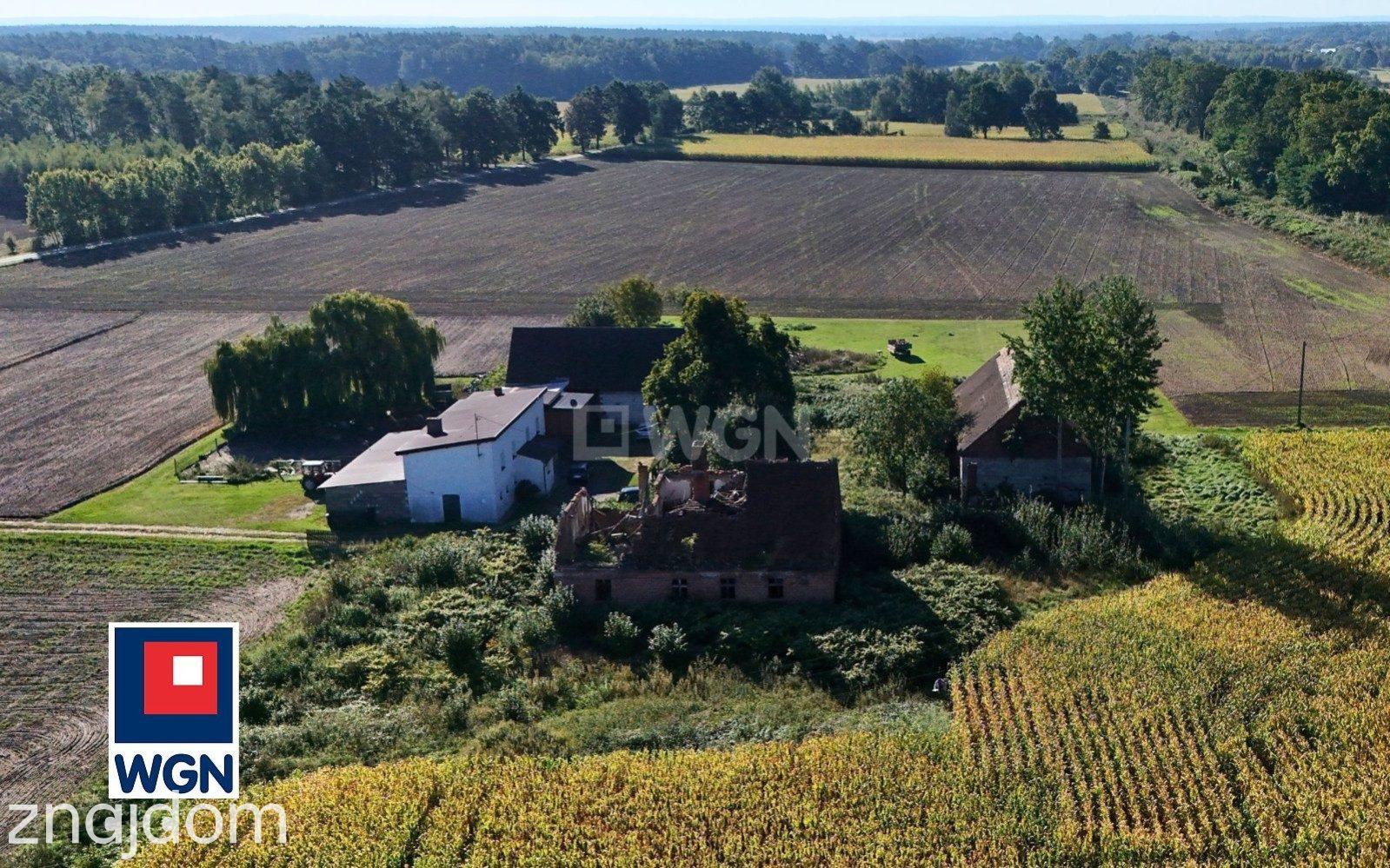 Dom na  sprzedaż Henrykowice - Działka 4300 m2 z zabudowaniami - Henrykowice - Dolina Baryczy. - zdjęcie 10