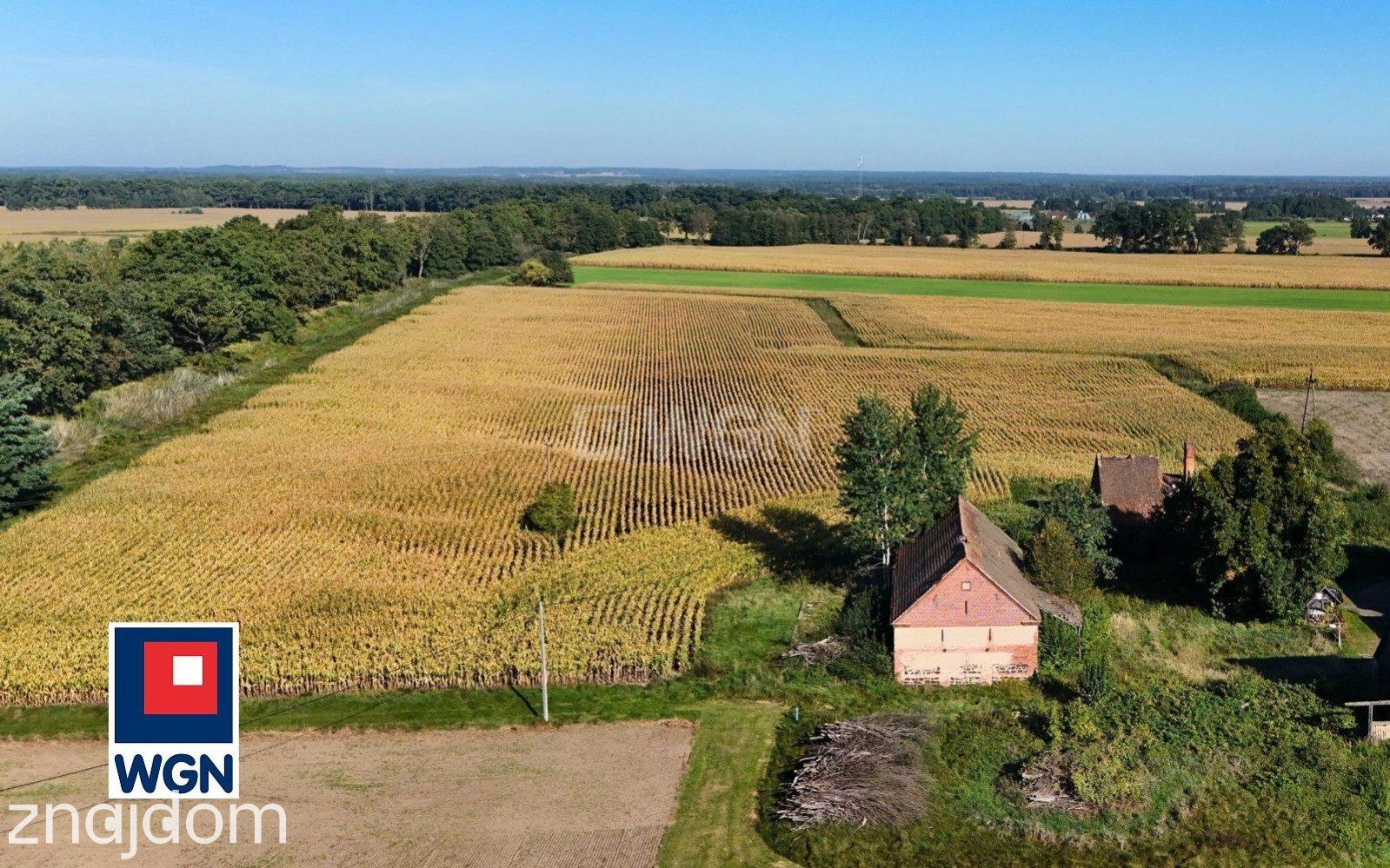 Dom na  sprzedaż Henrykowice - Działka 4300 m2 z zabudowaniami - Henrykowice - Dolina Baryczy. - zdjęcie 9