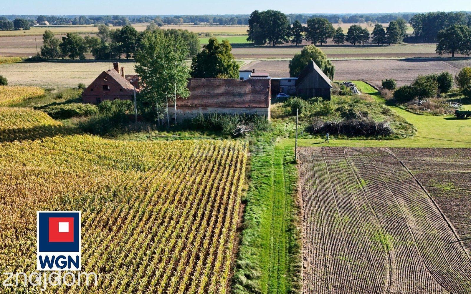 Dom na  sprzedaż Henrykowice - Działka 4300 m2 z zabudowaniami - Henrykowice - Dolina Baryczy. - zdjęcie 7