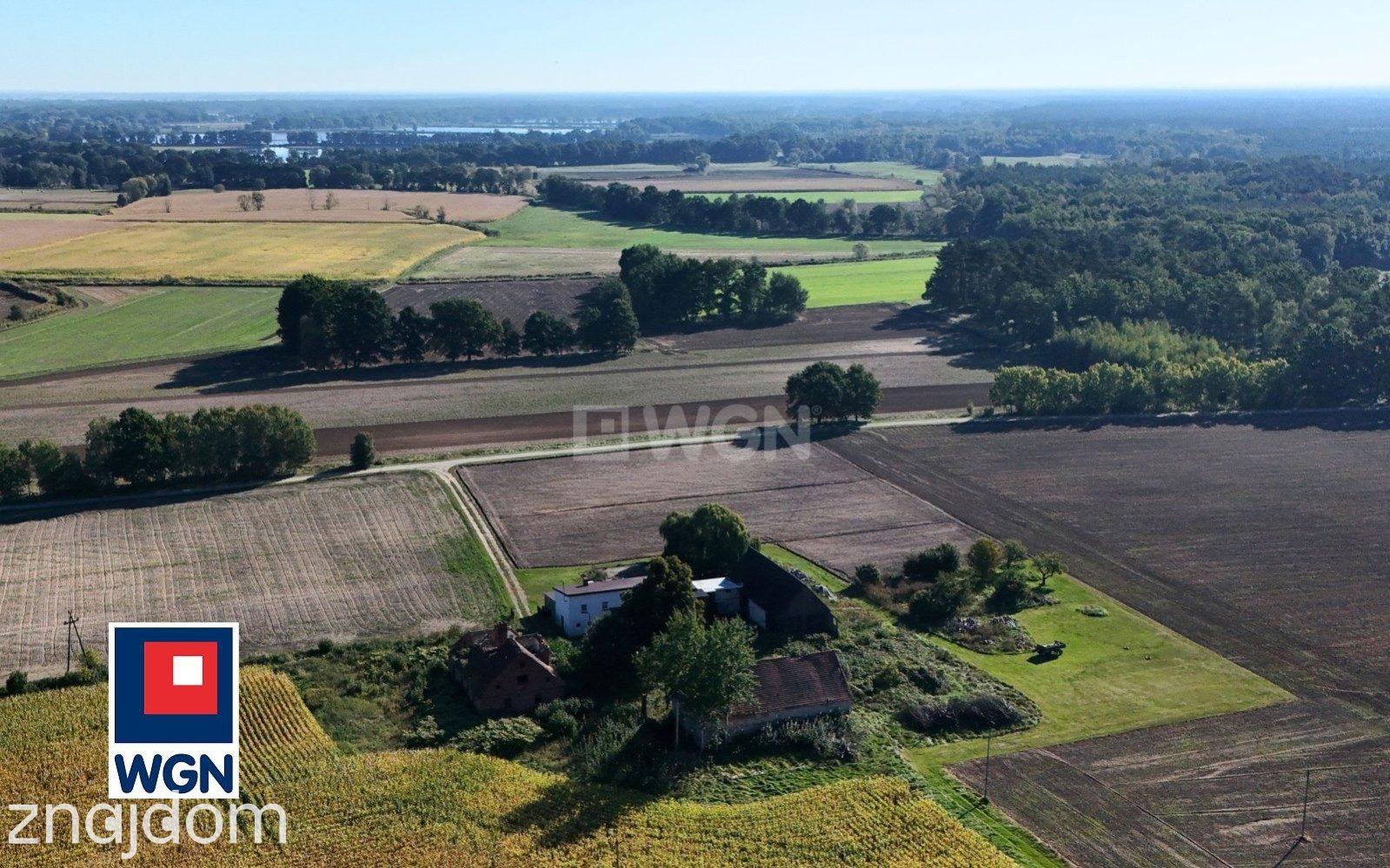 Dom na  sprzedaż Henrykowice - Działka 4300 m2 z zabudowaniami - Henrykowice - Dolina Baryczy. - zdjęcie 6